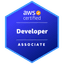 AWS Developer Associate logo